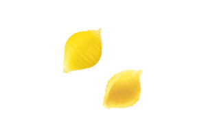 Small Shell